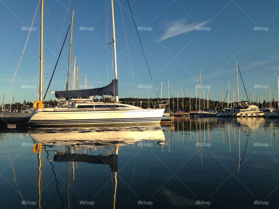 Sailboats in harbour