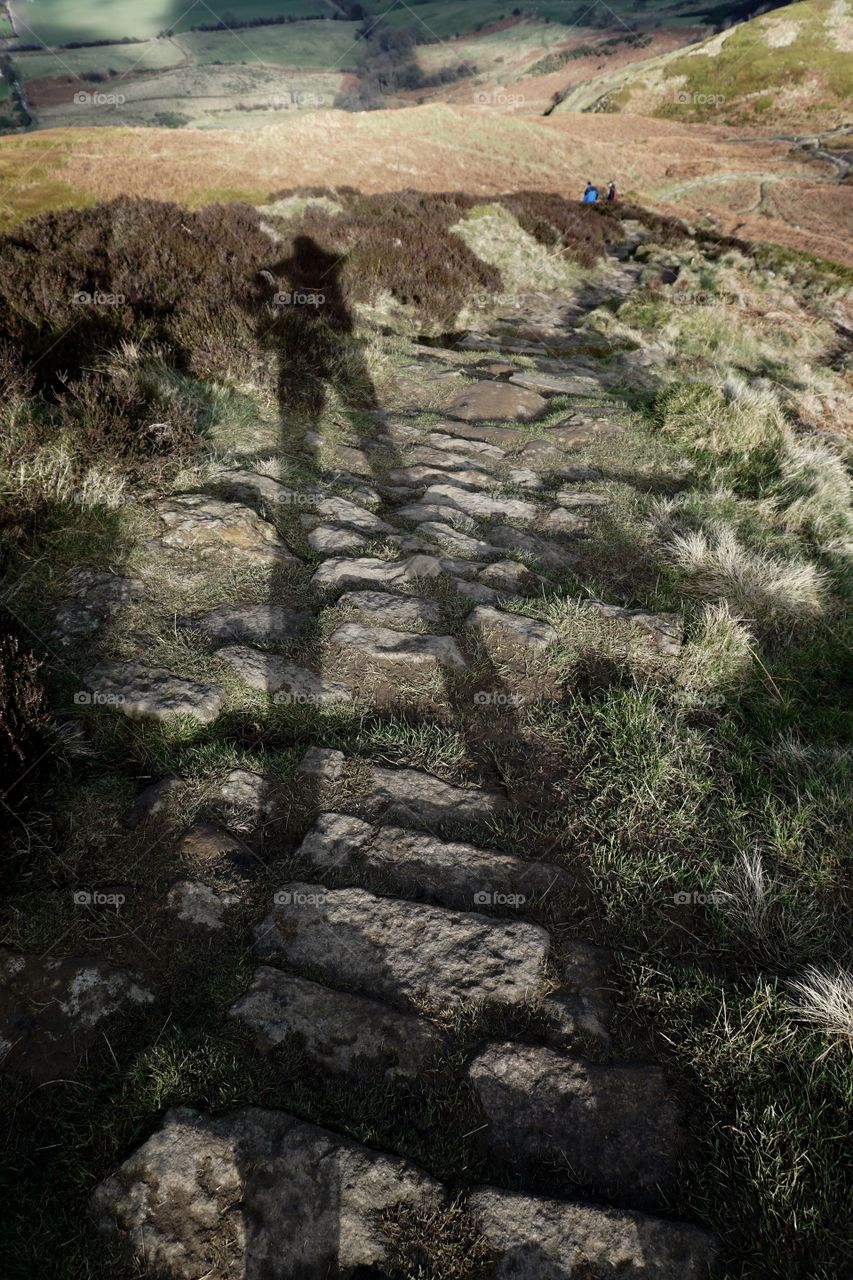 Large shadow on grassy landscape