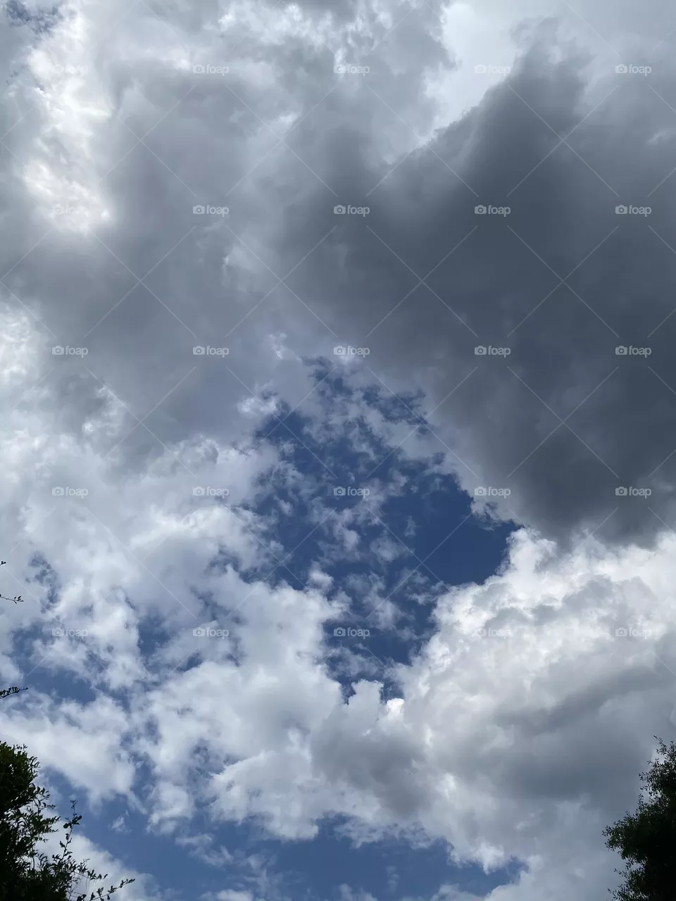 Gray sky 