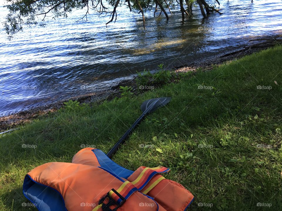 Orange life jacket on grassy shore next to river with paddle and black willow tree conceptual outdoor active lifestyle and safety background photography 