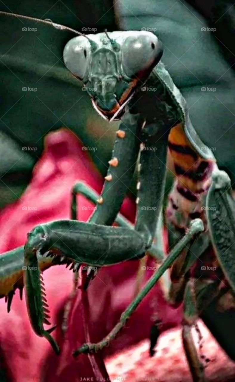 A most beautiful and attractive view in the garden.