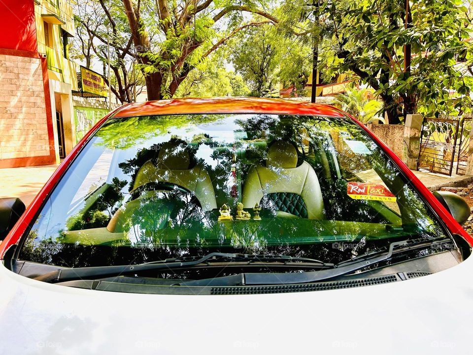 Reflection in car mirror - Tree shadows 