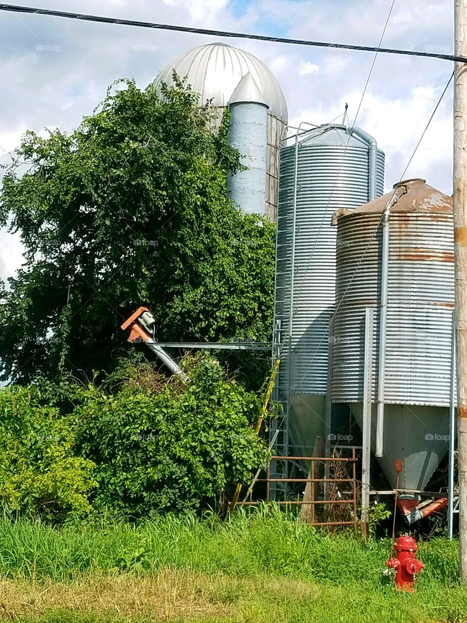 Three silos, old, overgrown ivy on wiring.