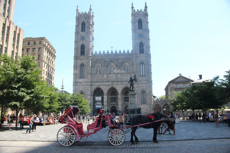 Transport in old Montreal
