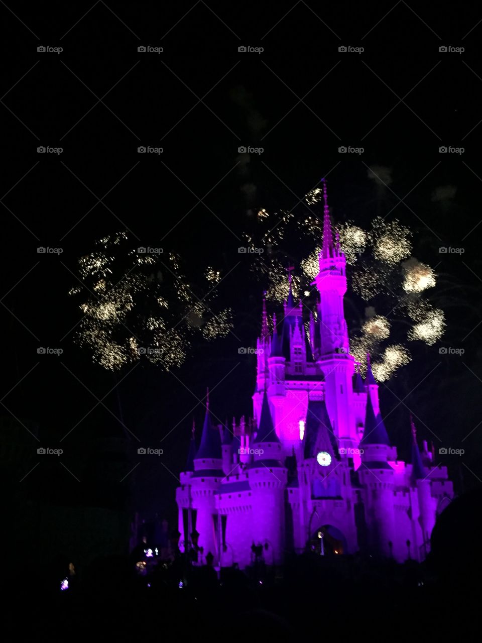 Disney World Magic Kingdom Fireworks