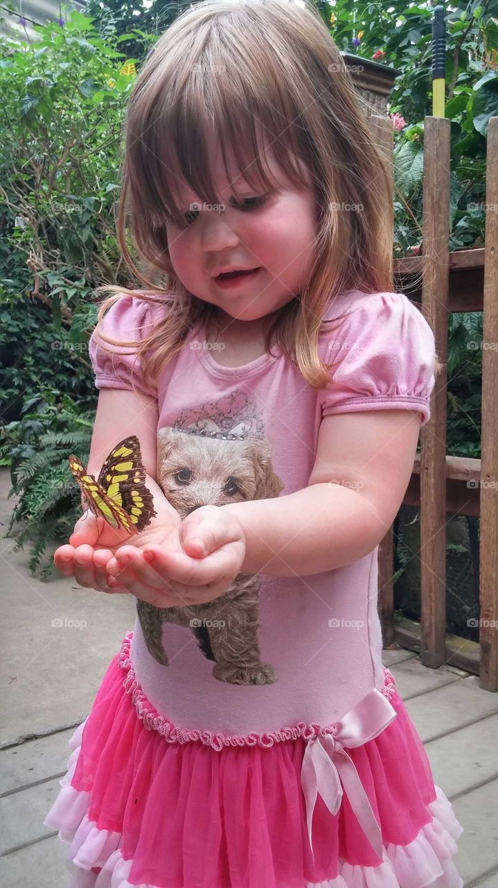 Child and butterfly