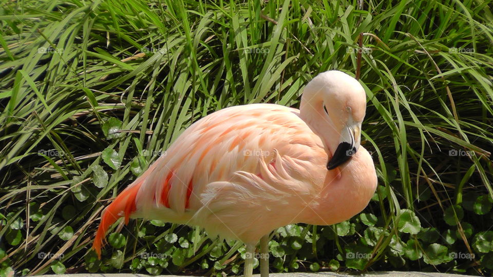 Up close and personal.