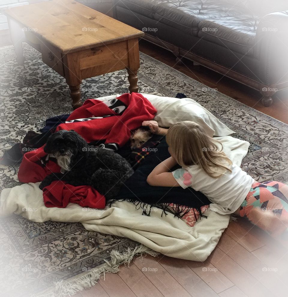 A young girl and two dogs