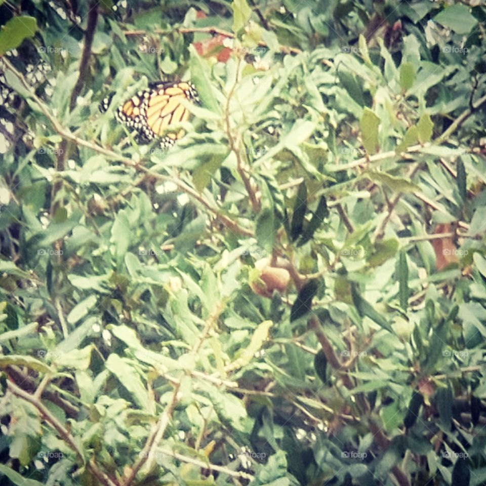 spring is in the air