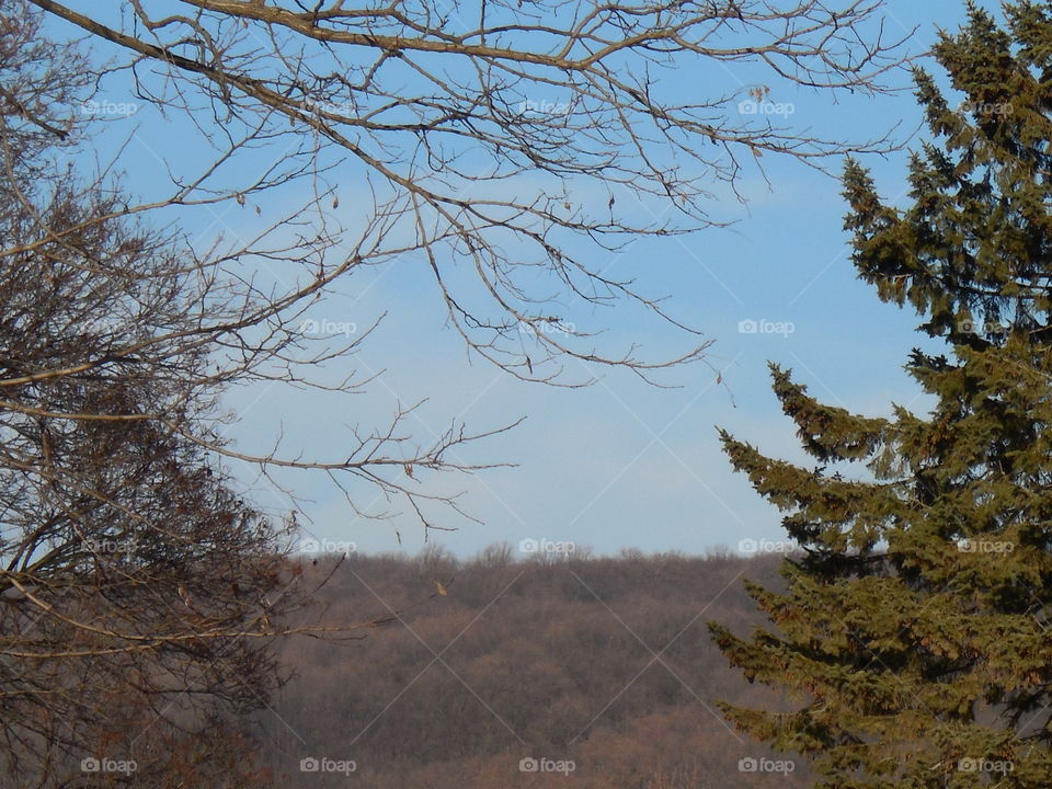 Wintertime mountain scene