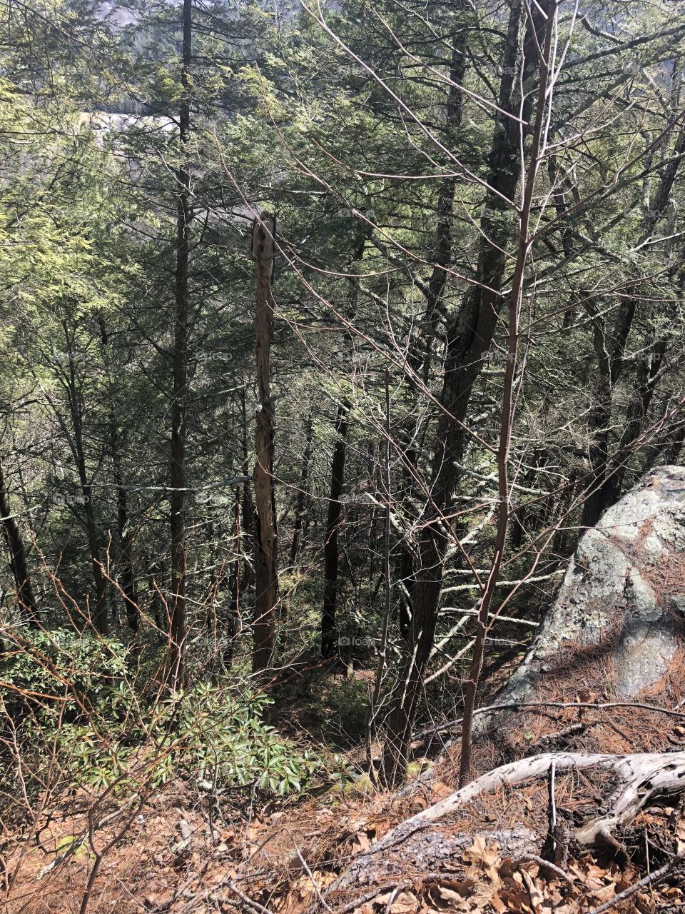 Longways Down. Don’t Fall. Black Rock State Park. 