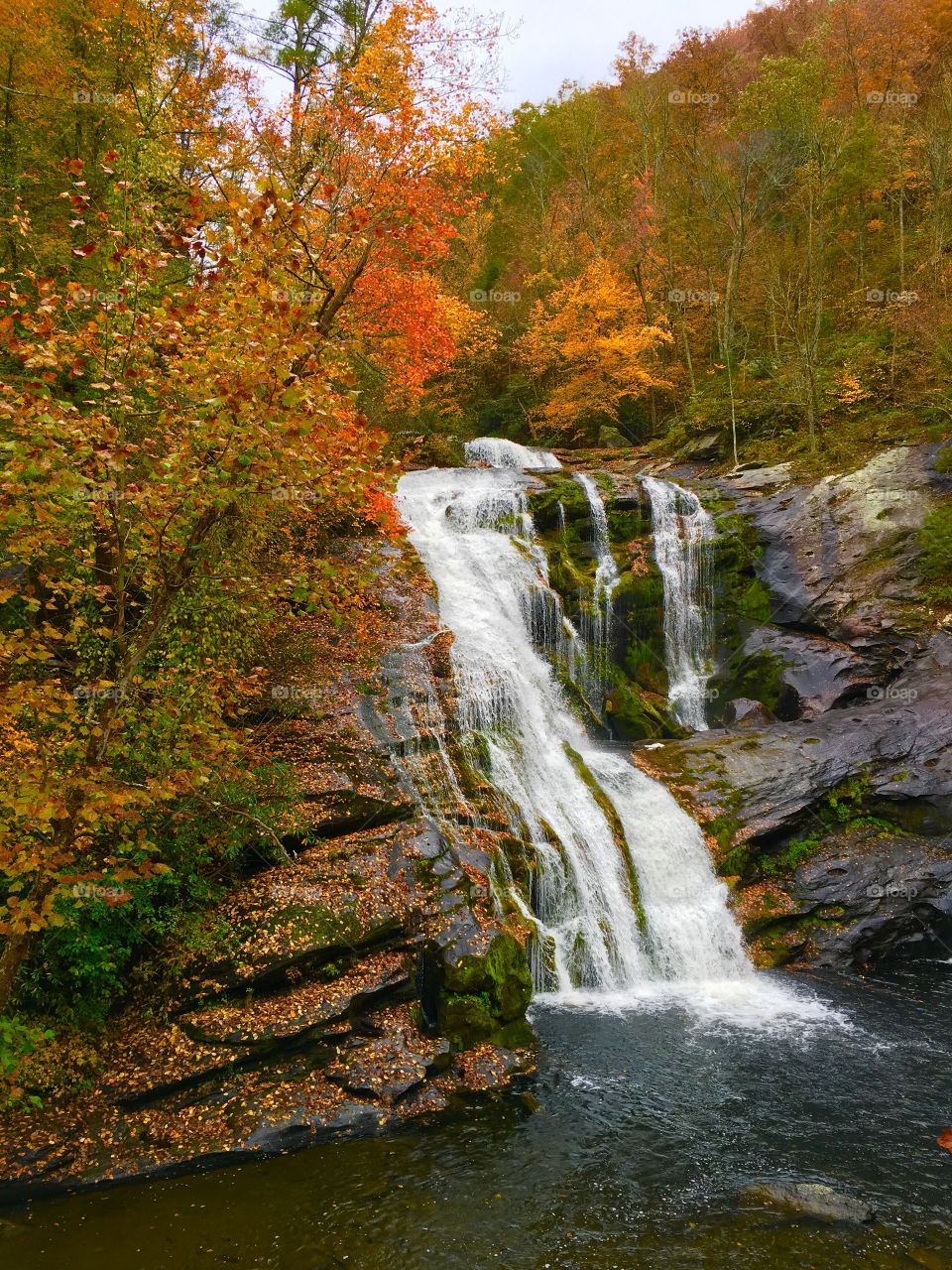 I've seen this water fall in all four seasons, fall is definitely my favorite. So damn beautiful. 
