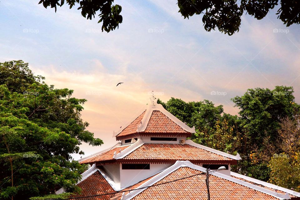 Roof top of house