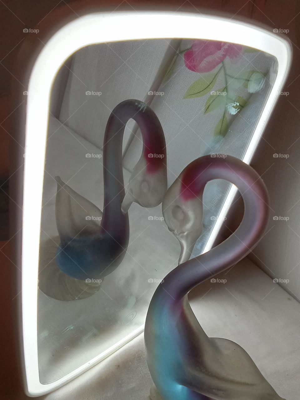 The mirror image is the reflected duplication of an object that appears almost identical but the direction is reversed. Swan in a mirror reflection.