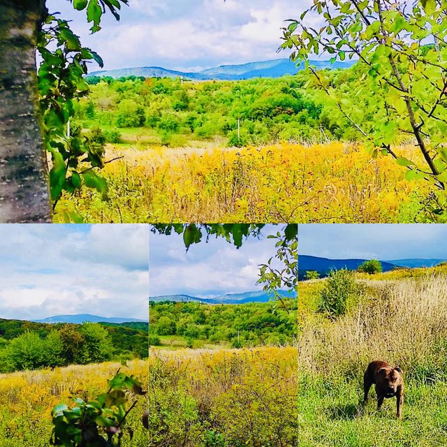 Nature