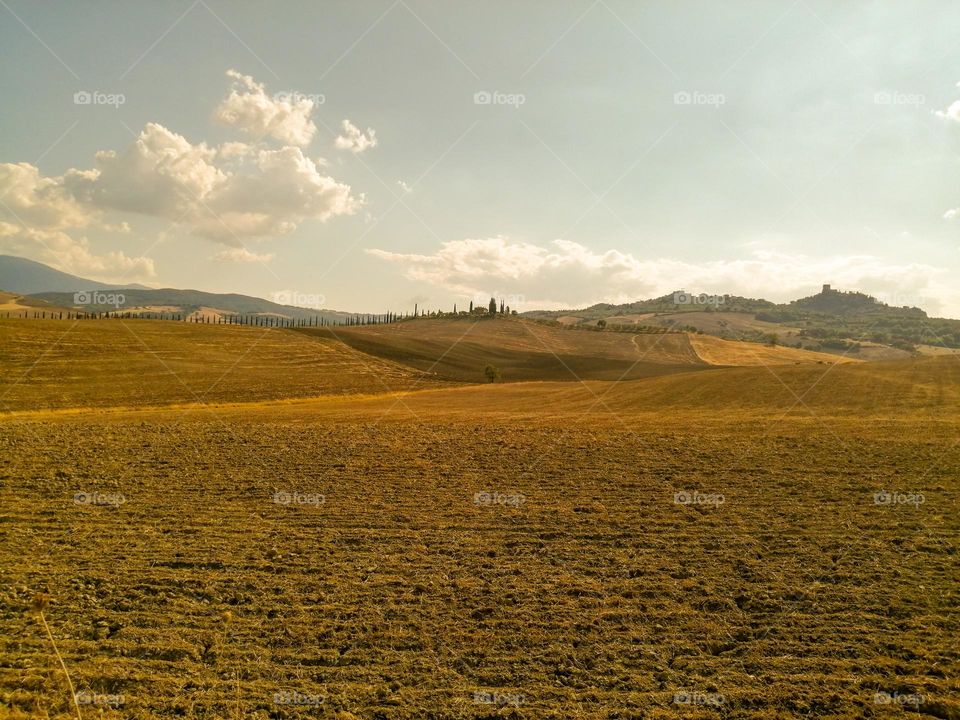 Tuscany countryside