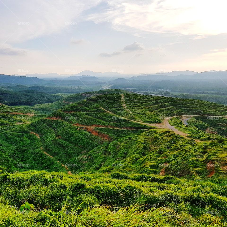 Scenic view of farmland on hills