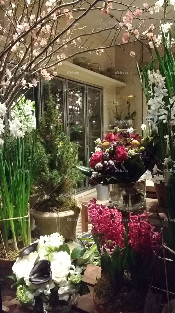 Florist Shop looking in