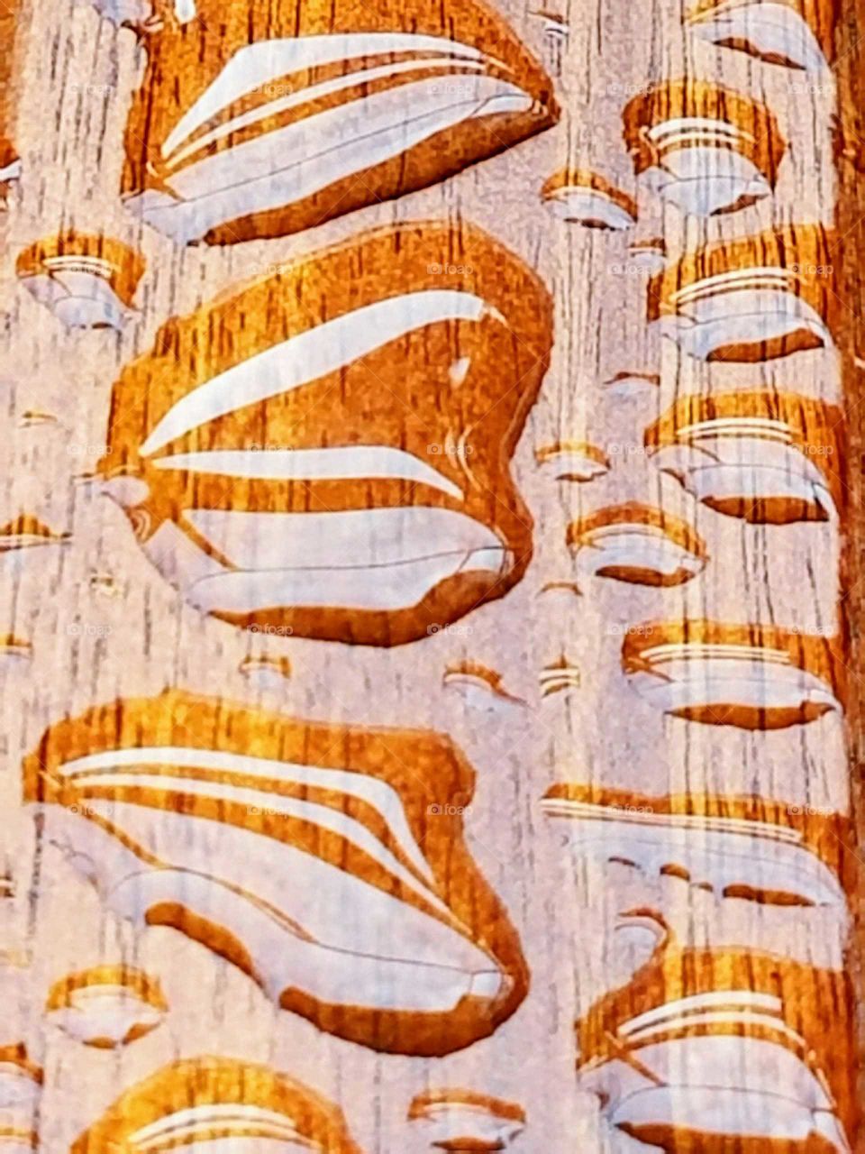 Raindrops on Wood