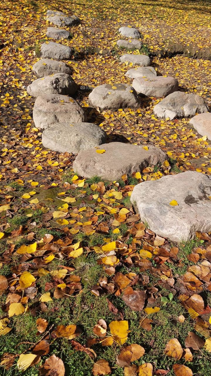 Autumn path