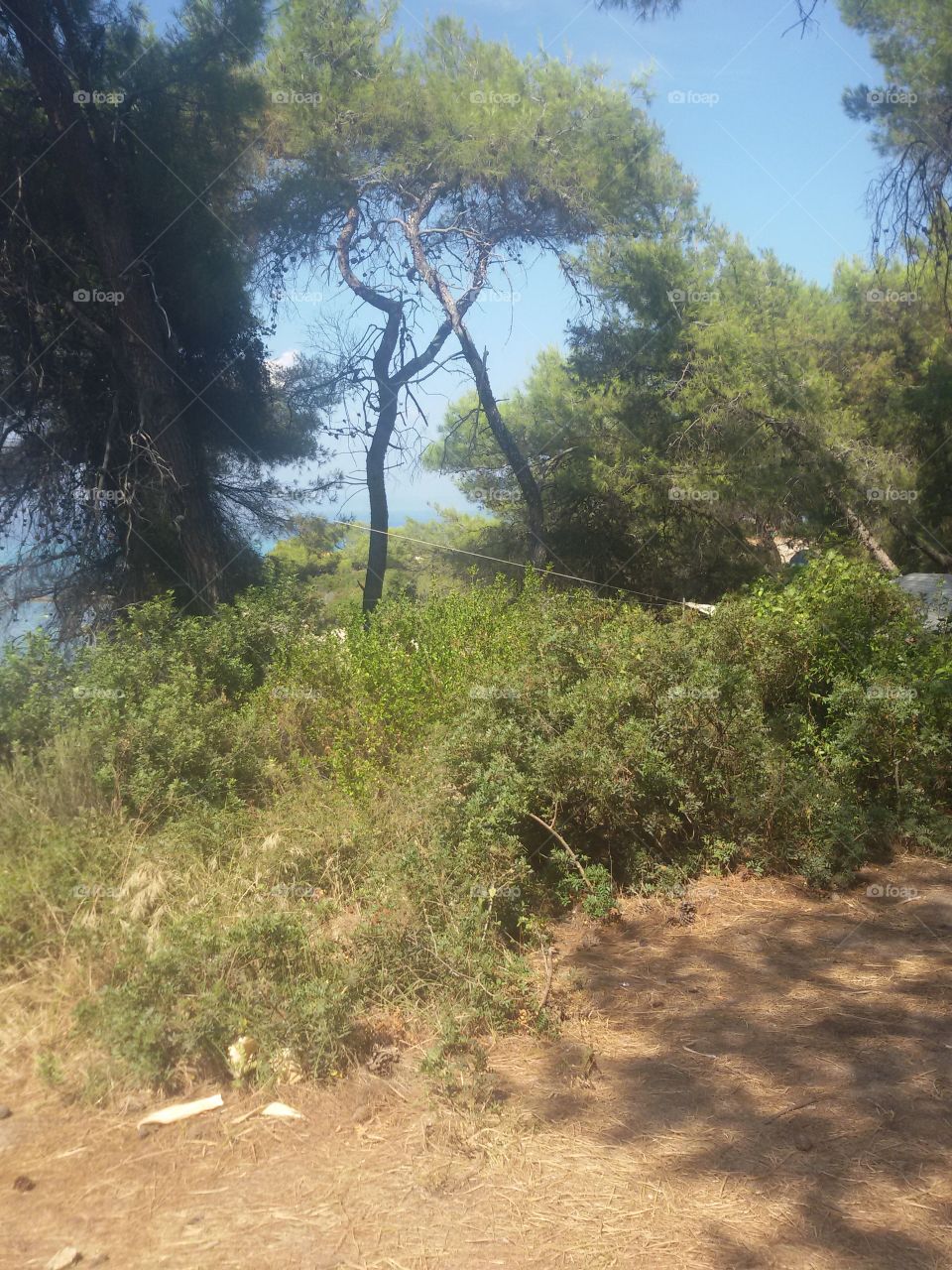 Beach,sand and sea in Greece