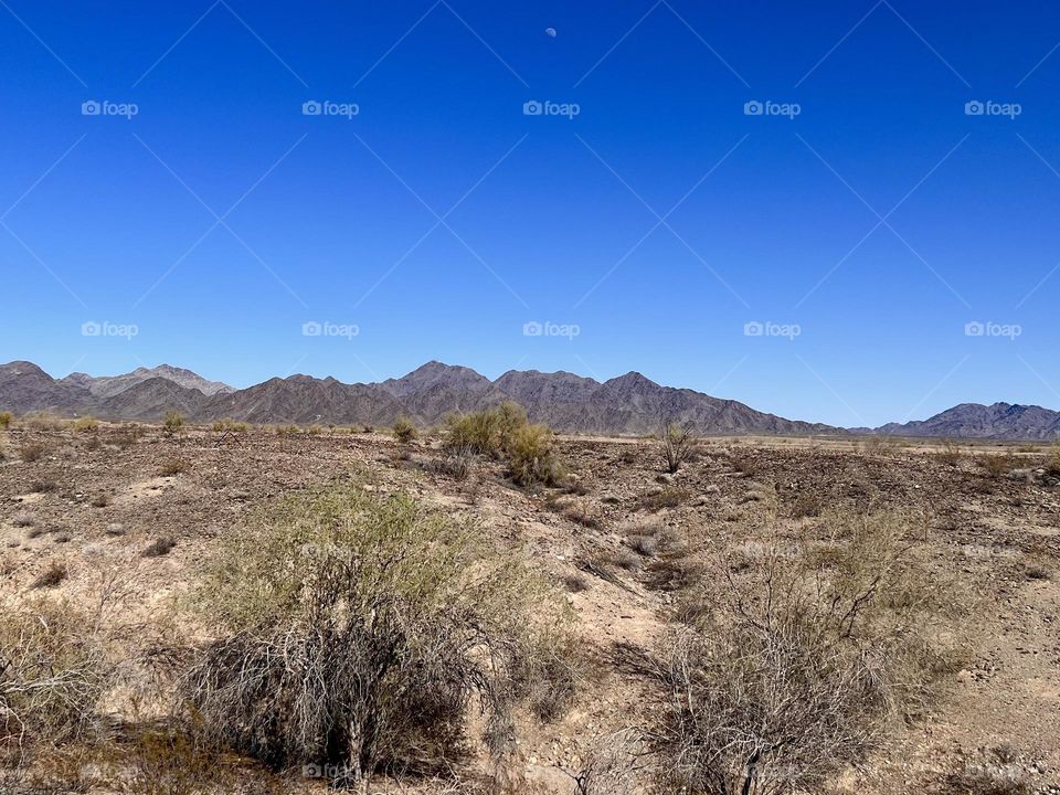 Ehrenberg Rest Area in Ehrenberg Arizona 