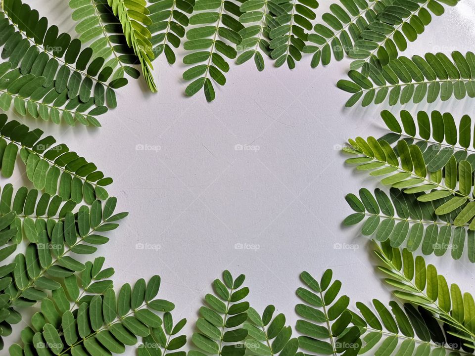 Picture frame with small green leaves.