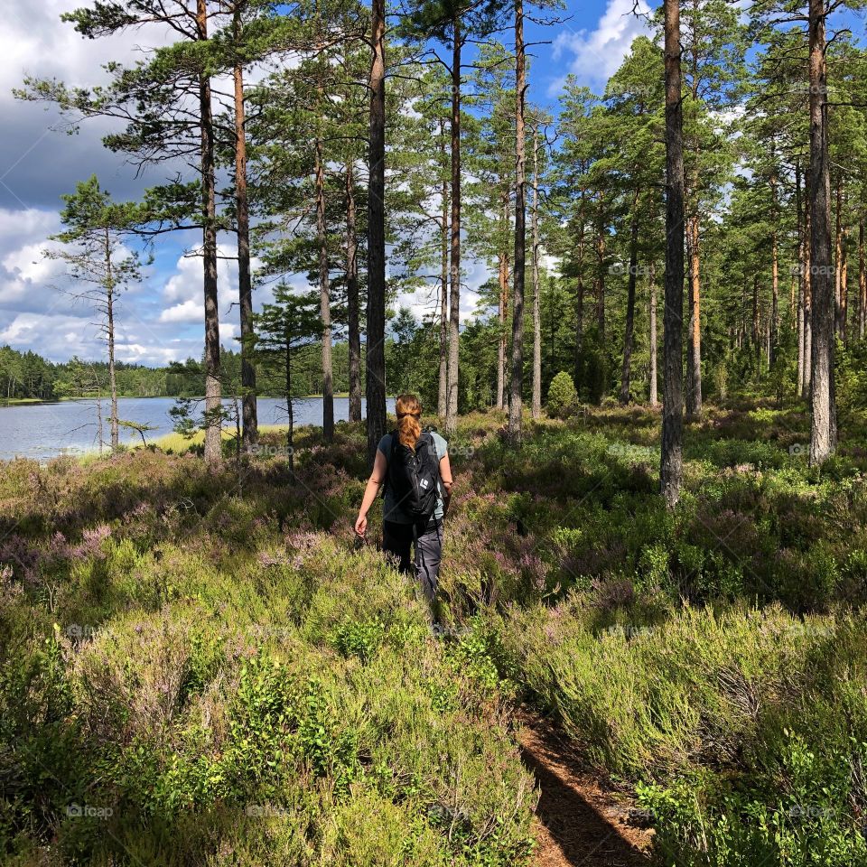 Social distance walking in the woods