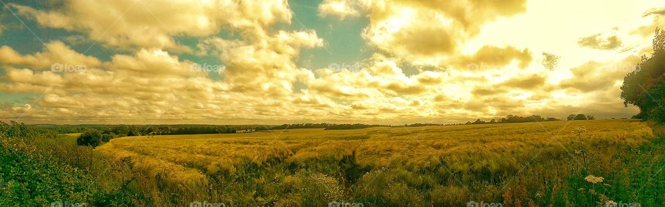 evening fields. Basingstoke