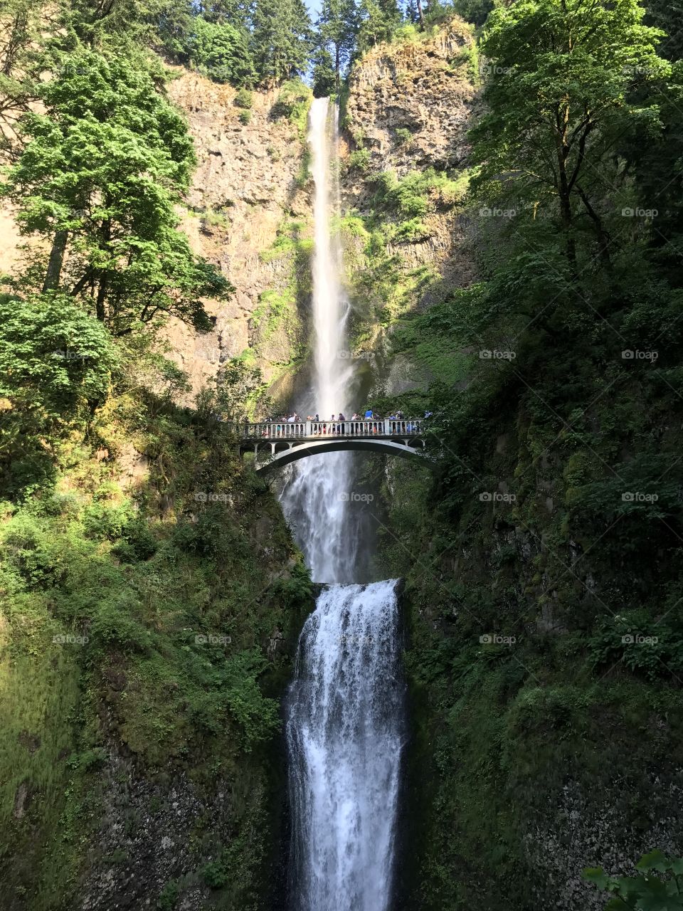 Multnomah Falls, Oregon