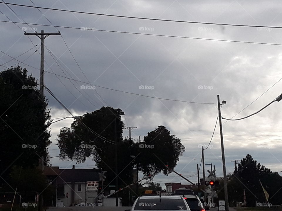 railroad crossing tree