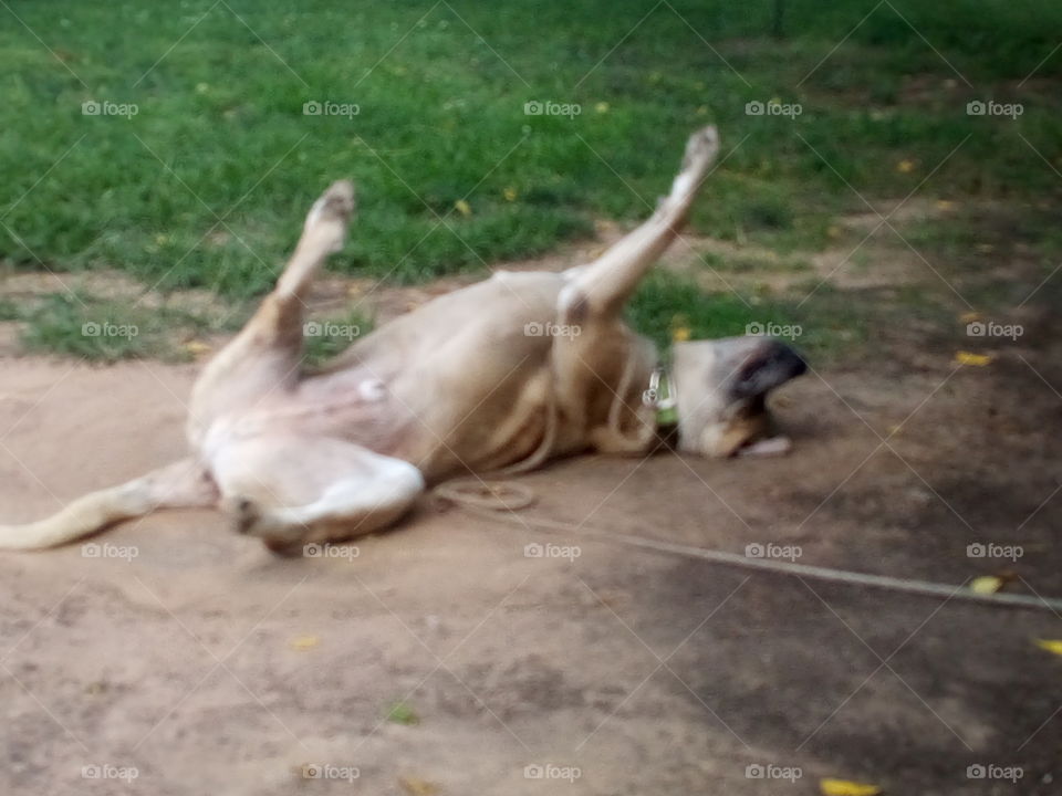 yehaw I'm doing my happy Monday dance or maybe I just had to much coffee not sure.