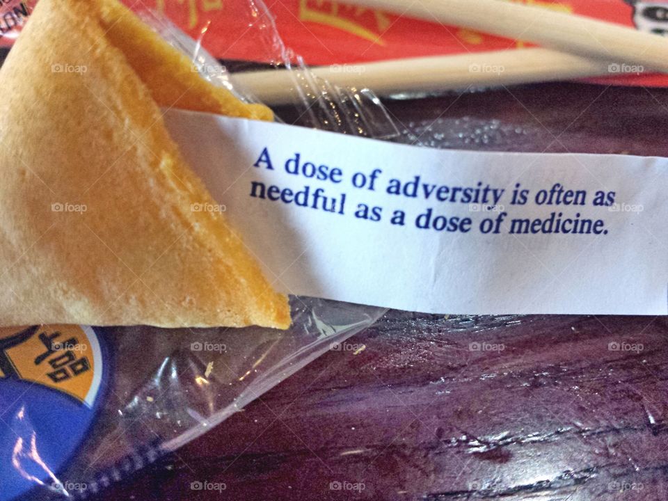 fortune cookie wisdom
