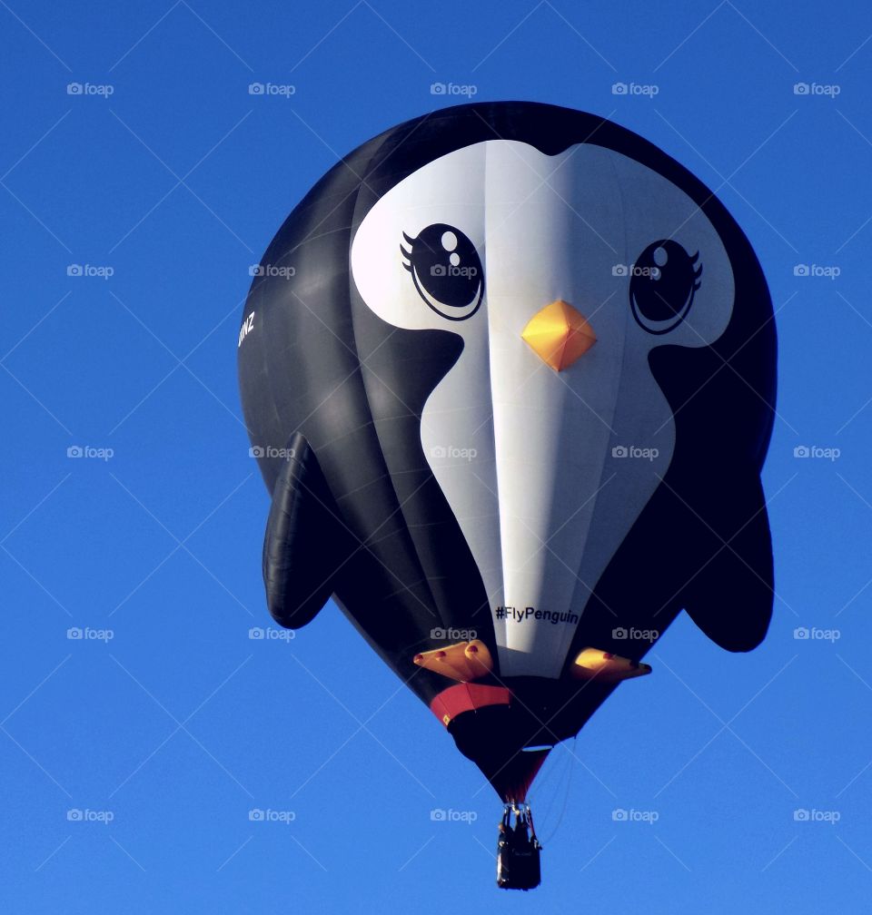 penguin hot air balloon
