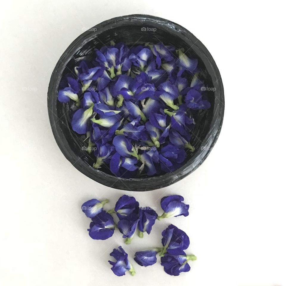 Butterfly pea flowers as tea. Drink for good health! 