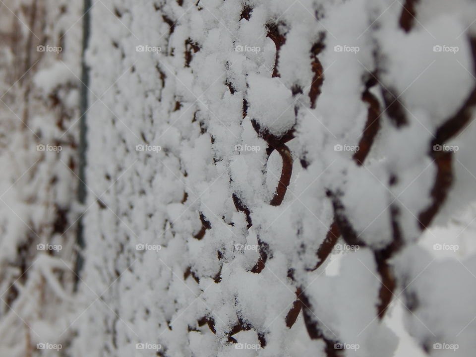 Snowy Day in Northern Maine - November 2015