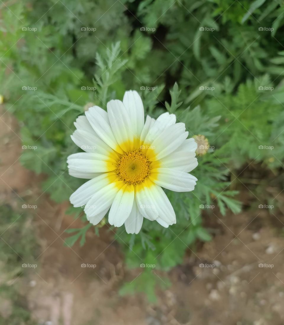 Editor's choice, photo of the week