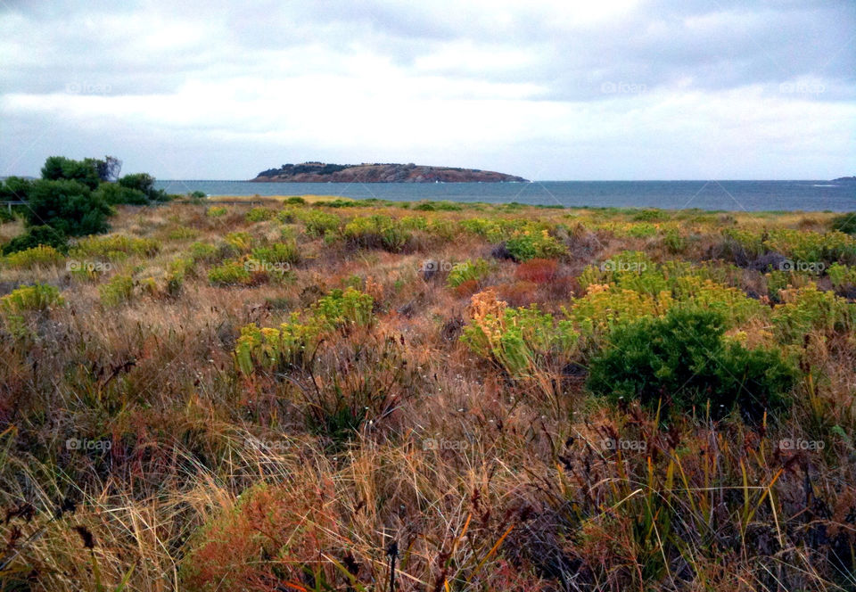 grass water sea cloudy by kshapley