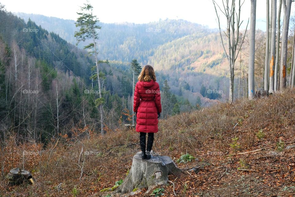 A woman standing on a stump with her back to the viewer and watching at the forest and mountains