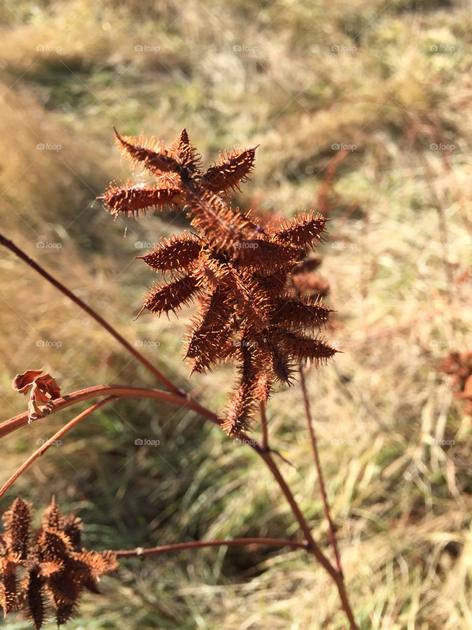 Beautiful colour and contrast. 