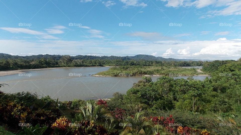 Amazon river 