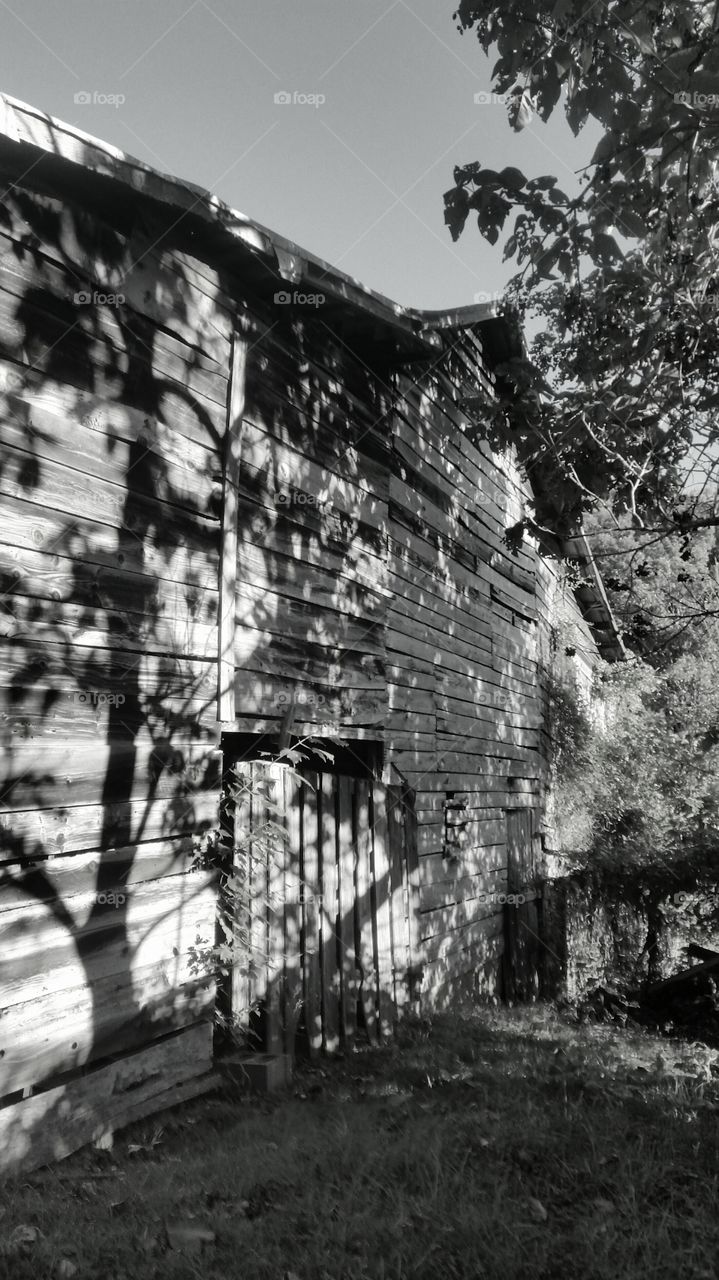 Country barn. old barn on family property I decided to take a picture of it