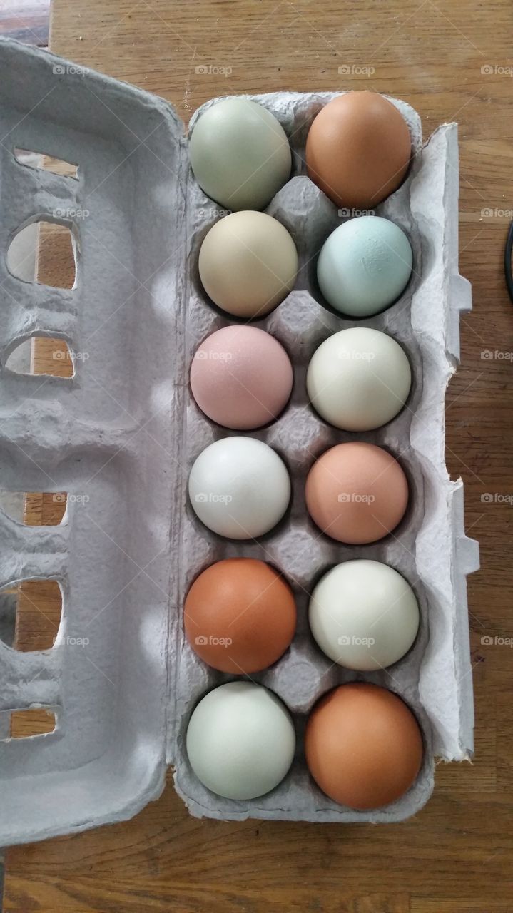 eggs of different colors