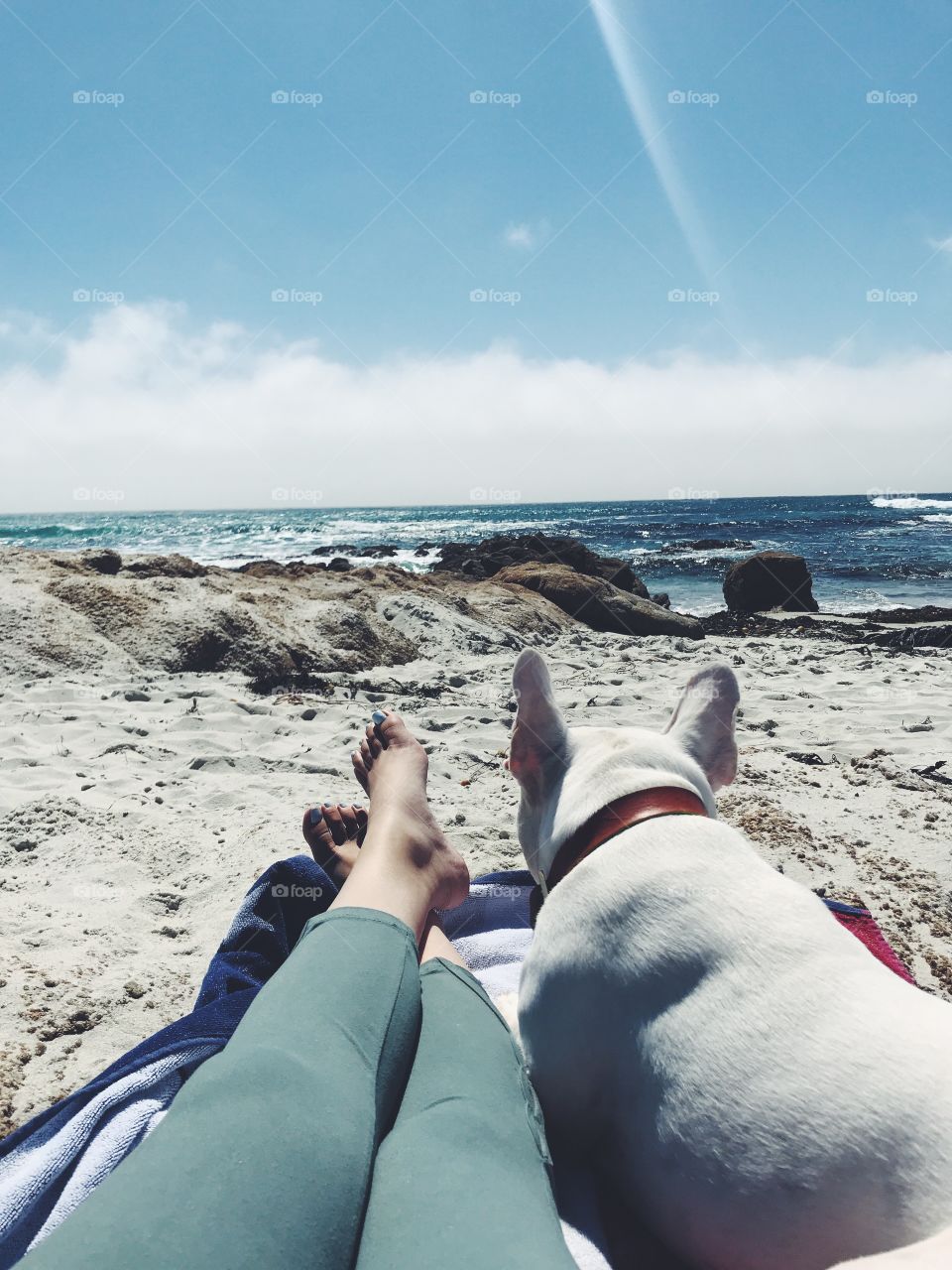beach nap with frenchie 
