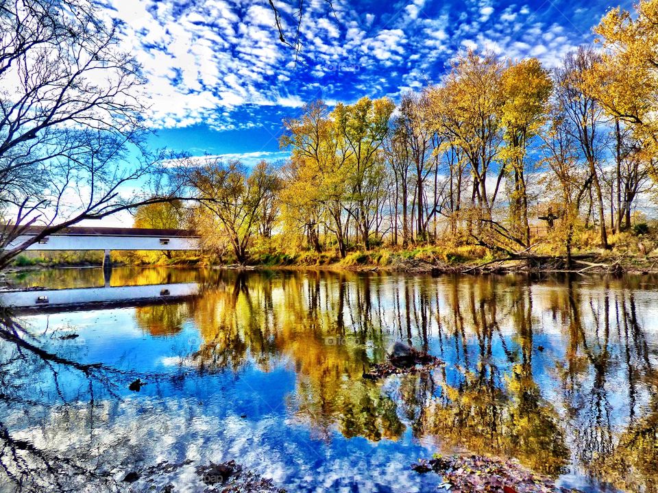Reflection of trees and covered bridge