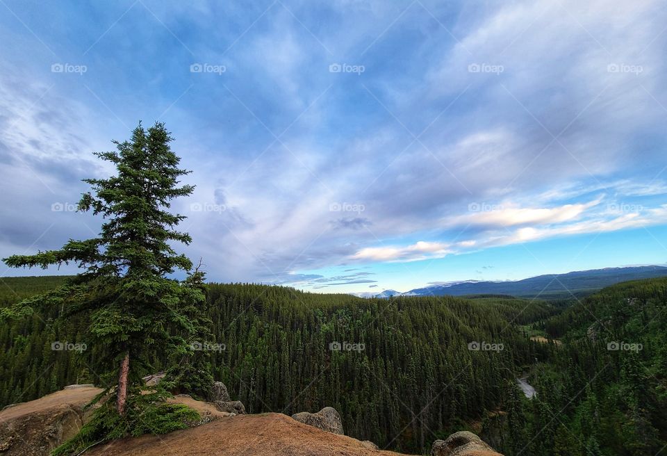 Yukon Canada Captures