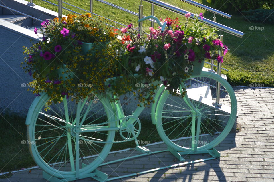 bicycle in flowers