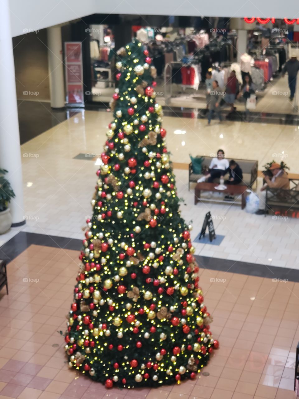 2nd story tree at the mall
