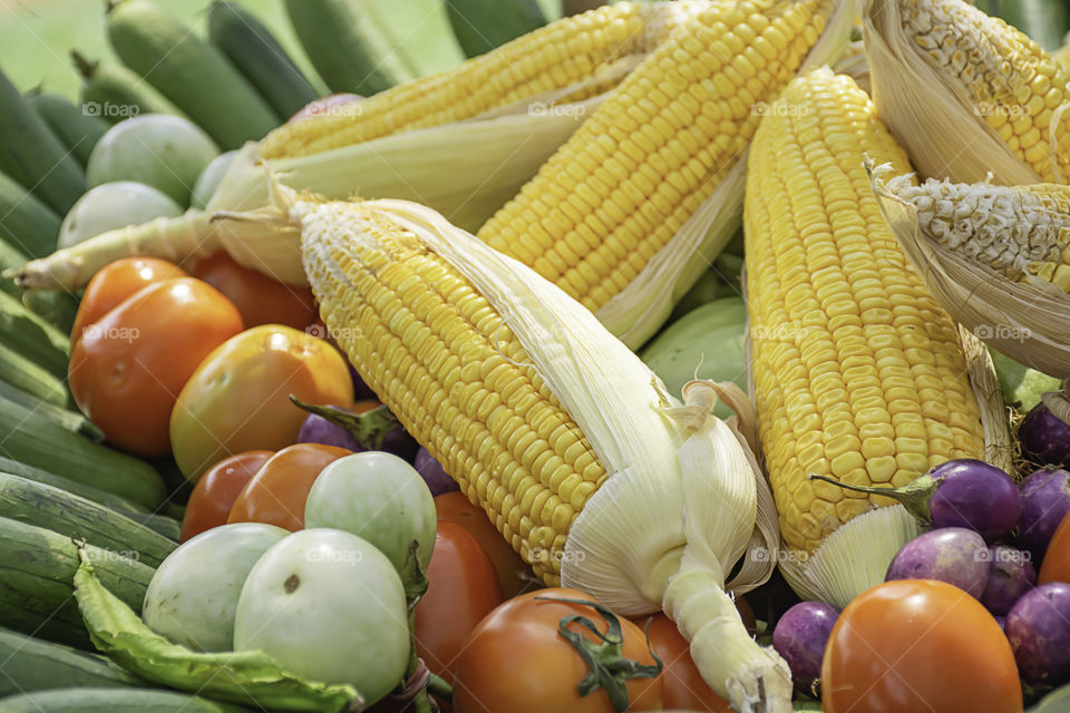 Tomato and corn The native vegetation of Thailand