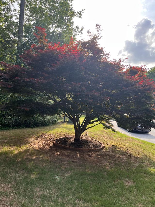 Late spring day evening 